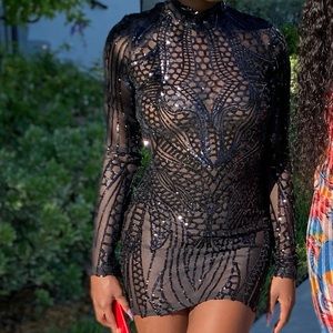Long sleeve sheer dress